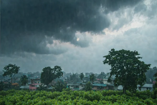 24e02499 7667 4d75 8027 0410e6c4ec2a