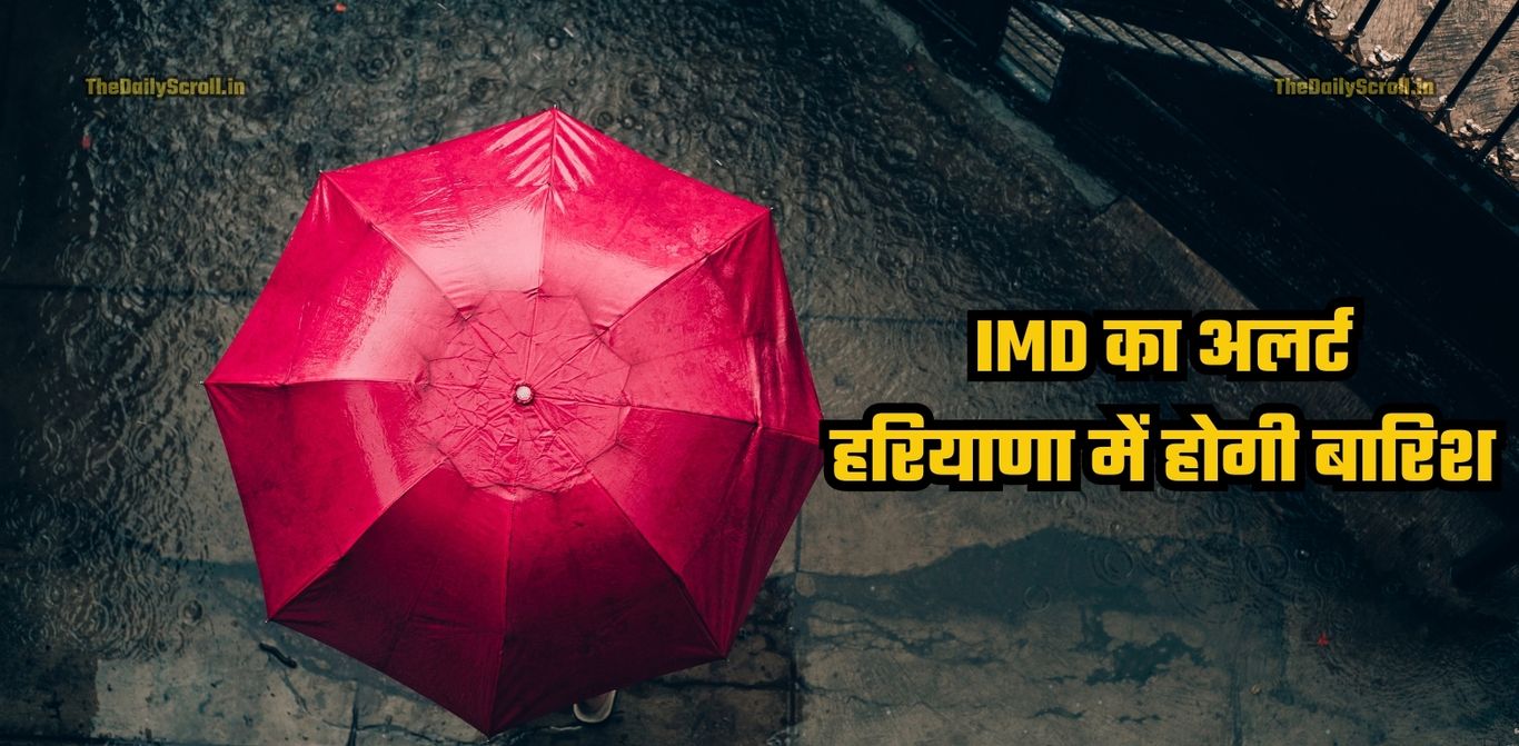 IMD Alert: उत्तर भारत में बारिश, घना कोहरा और शीत लहर की चेतावनी