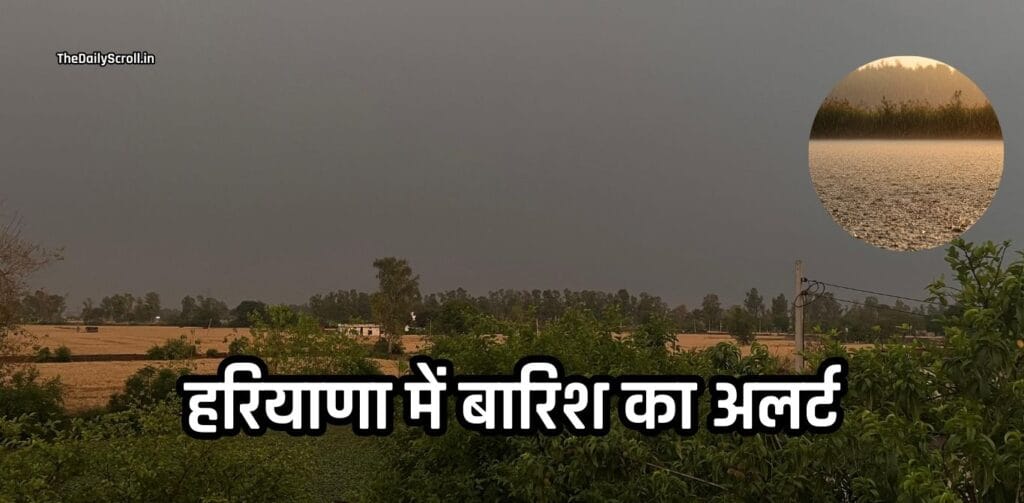 Haryana Rain Alert: हरियाणा में कल होगी बारिश, मौसम विभाग ने जारी किया ये पूर्वानुमान