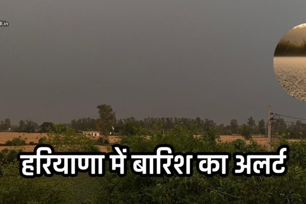 Haryana Rain Alert: हरियाणा में कल होगी बारिश, मौसम विभाग ने जारी किया ये पूर्वानुमान