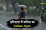 Haryana Rain Alert: हरियाणा में बारिश का Yellow Alert जारी, इन 15 जिलों में बदलेगा मौसम
