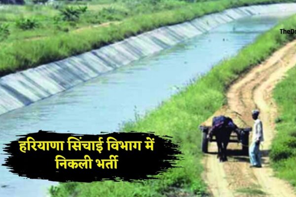 Haryana Government Job: हरियाणा के सिंचाई विभाग में निकली भर्ती, युवाओं के लिए सुनहरा मौका