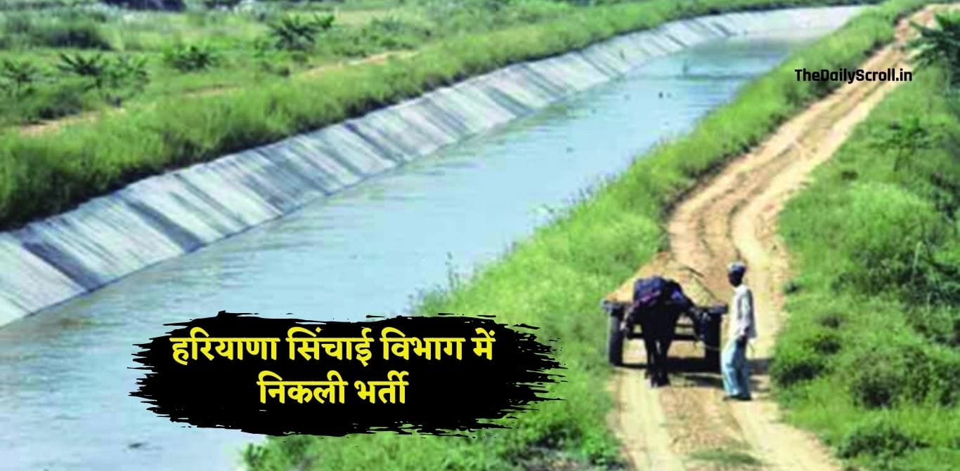 Haryana Government Job: हरियाणा के सिंचाई विभाग में निकली भर्ती, युवाओं के लिए सुनहरा मौका