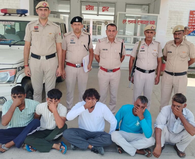 523837337 1151723460330779 6514818487061997265 n