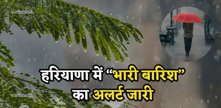 Haryana Weather Alert: हरियाणा में इस दिन होगी बारिश, IMD ने घने कोहरे का भी जारी किया अलर्ट