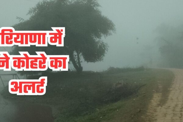 Haryana Weather Update: Dense fog in Haryana, visibility very low in many