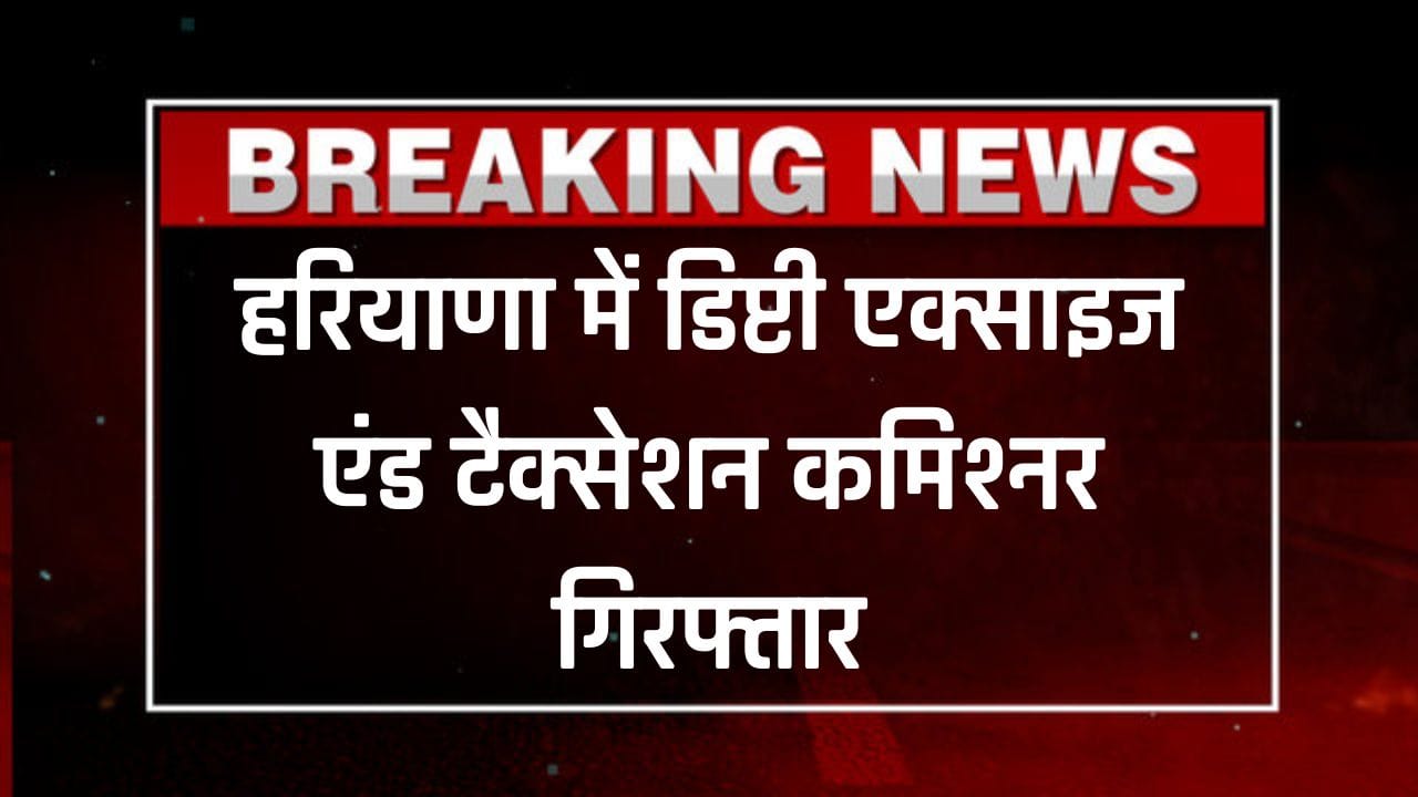 डिप्टी एक्साइज एंड टैक्सेशन कमिश्नर